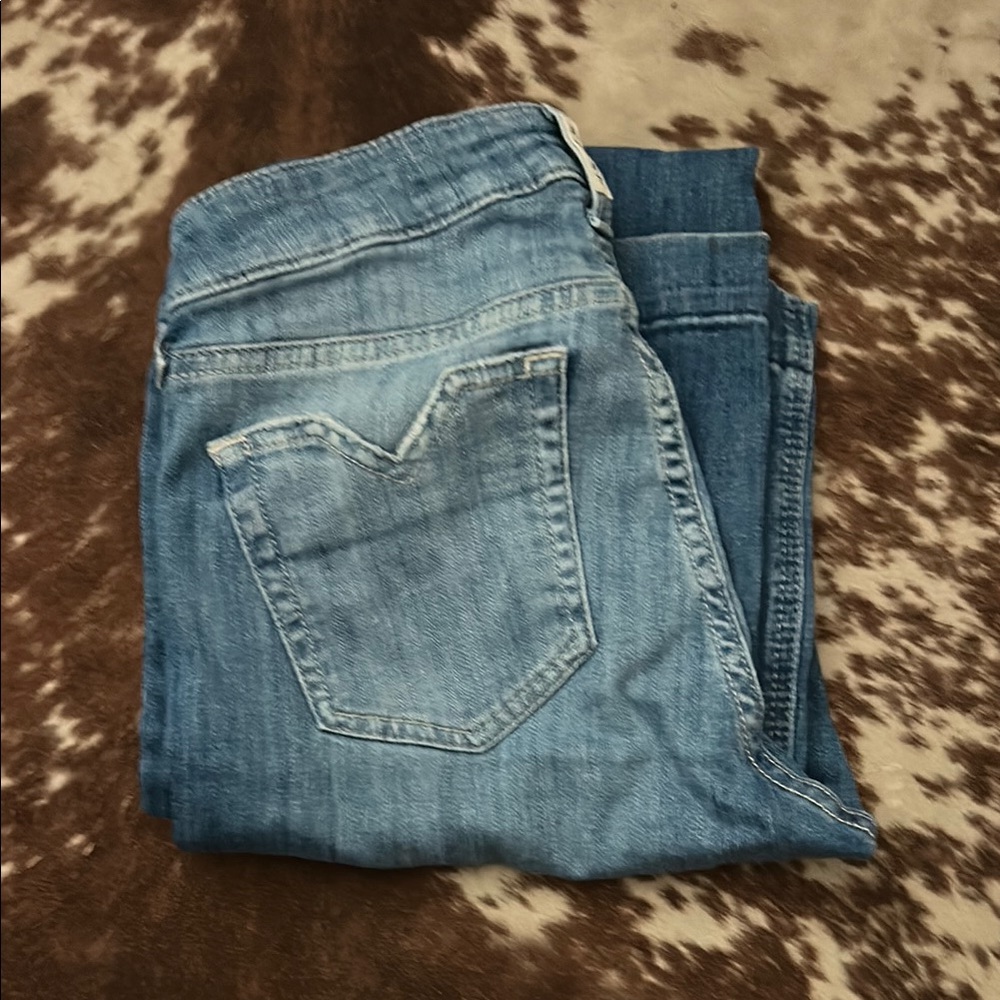 Ariat trousers